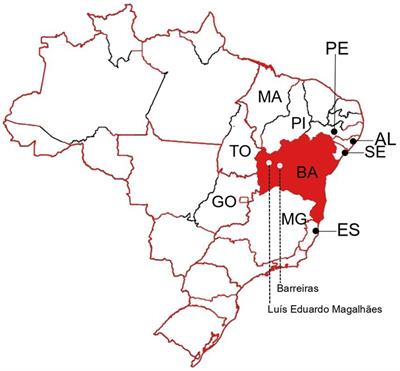 Co-circulation of Chikungunya virus, Zika virus, and serotype 1 of Dengue virus in Western Bahia, Brazil